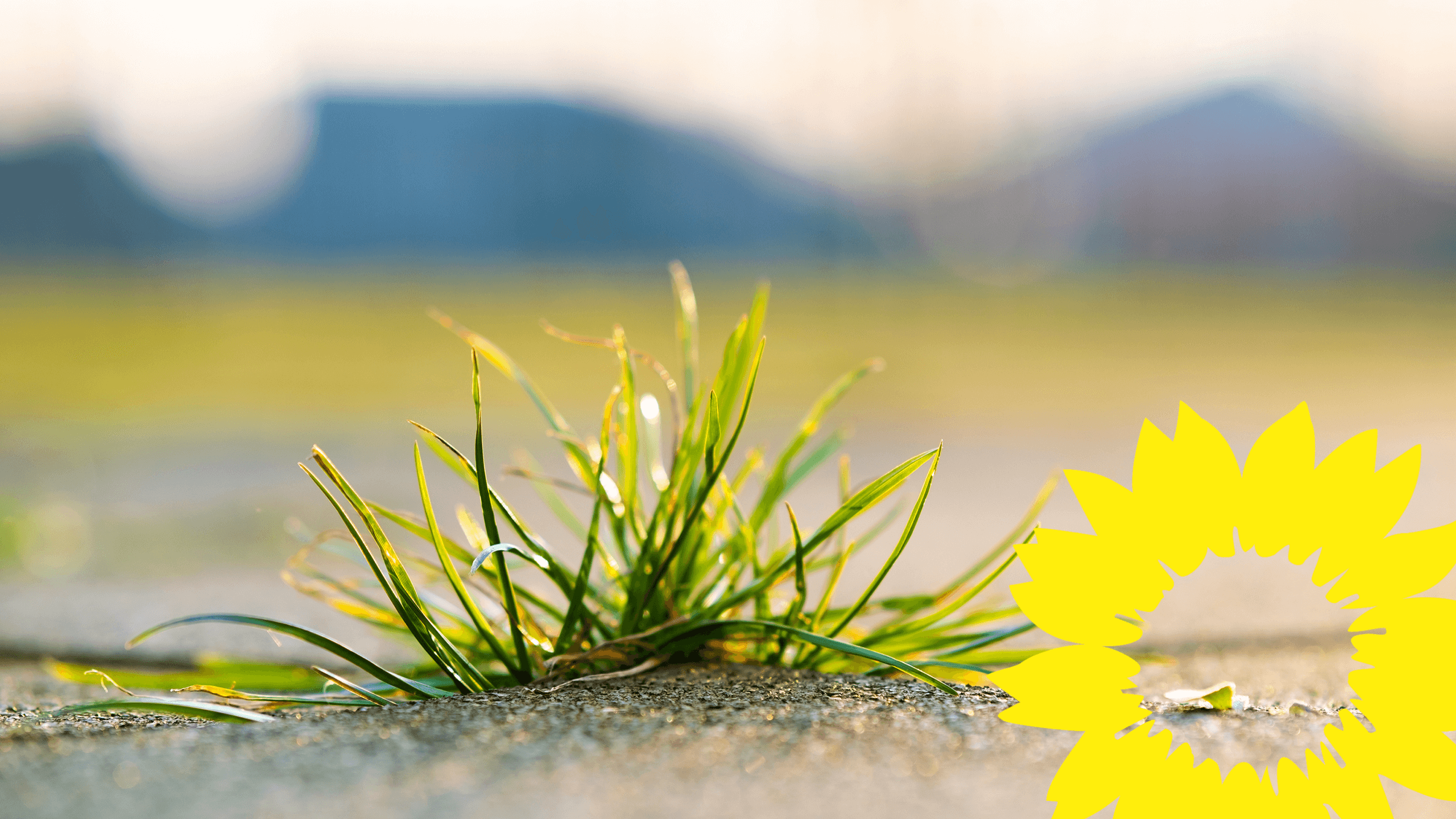 GrüneStädtestattklammeKommunen GRÜNE ENNEPERUHR